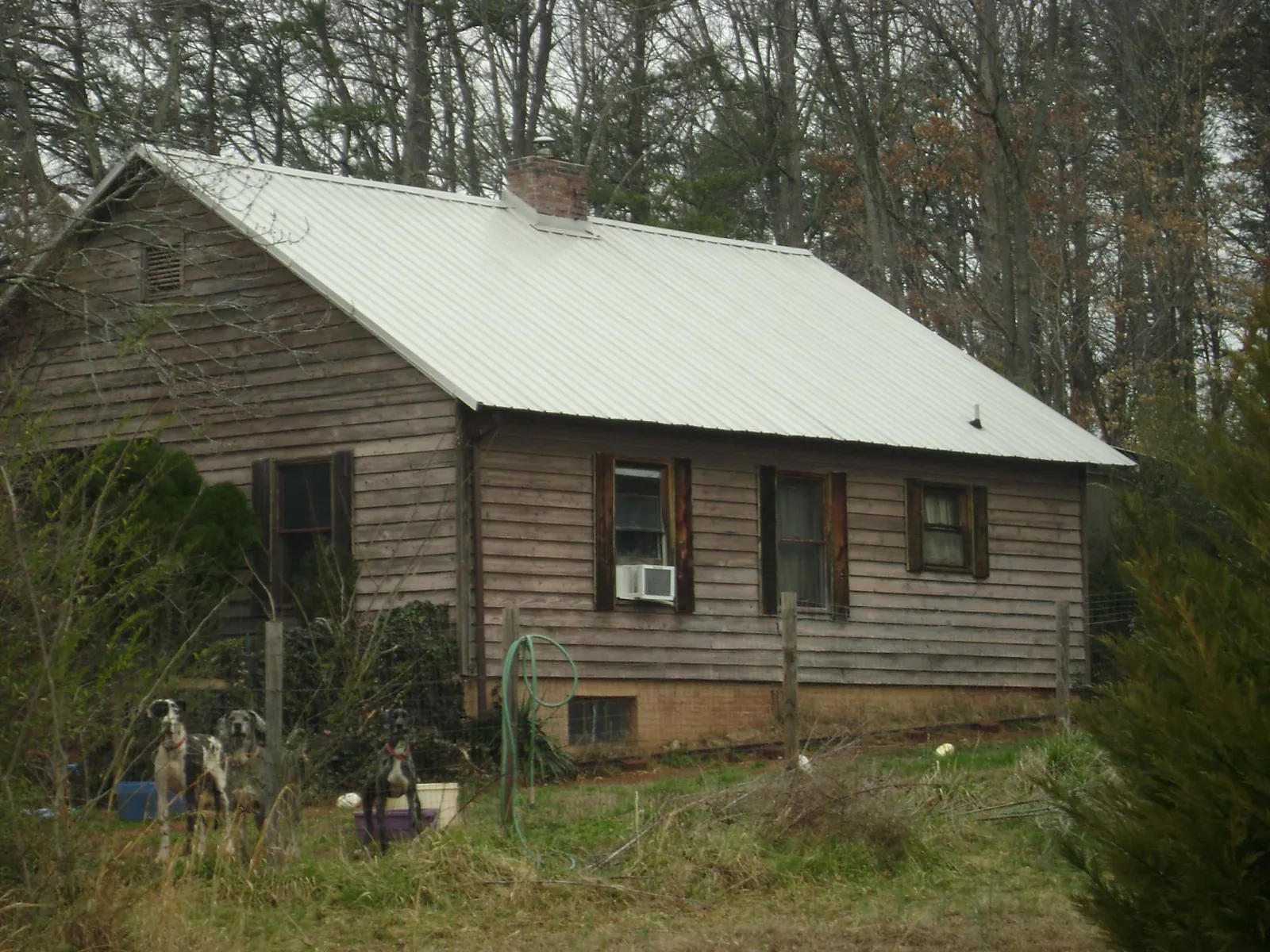 White metal roof on an old wood sided farmhouse, from a Asphalt Shingle Roof Repair job in Boonville